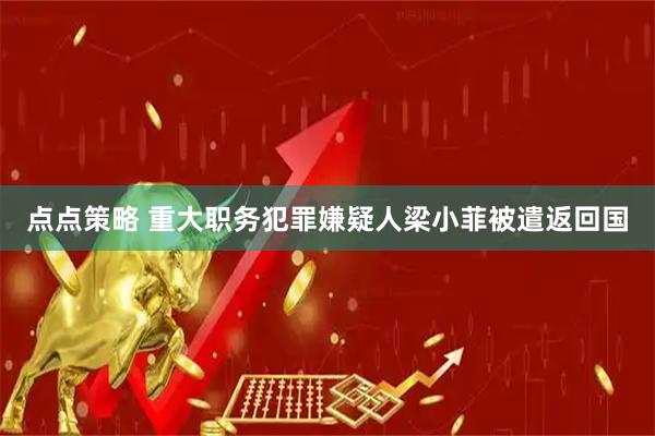 点点策略 重大职务犯罪嫌疑人梁小菲被遣返回国