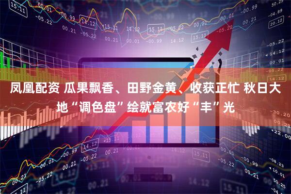 凤凰配资 瓜果飘香、田野金黄、收获正忙 秋日大地“调色盘”绘就富农好“丰”光