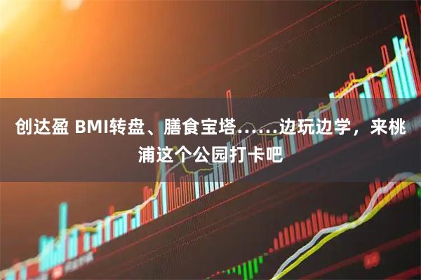 创达盈 BMI转盘、膳食宝塔……边玩边学，来桃浦这个公园打卡吧
